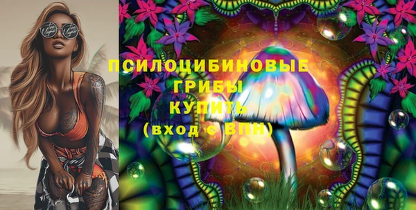 круглые Алзамай